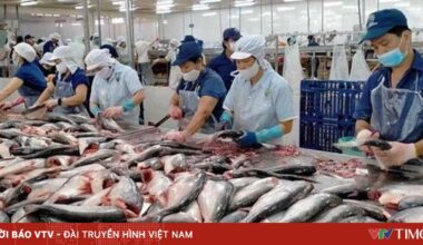 Vietnam.vn - Nền tảng quảng bá Việt Nam