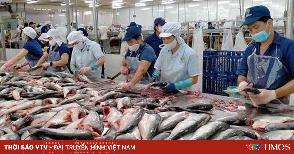 Vietnam.vn - Nền tảng quảng bá Việt Nam