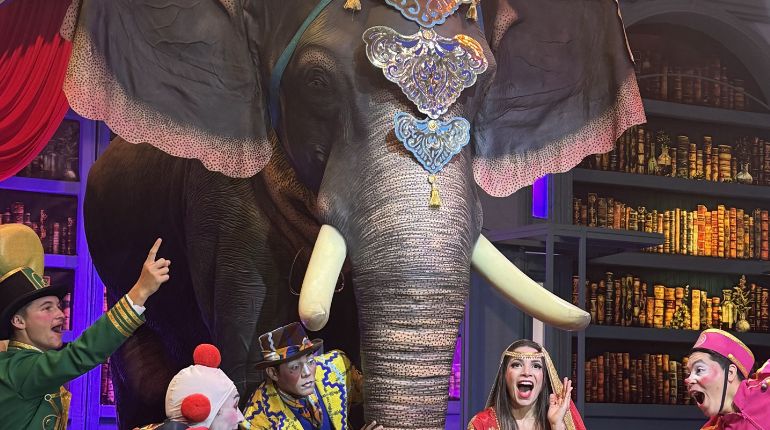 illustration agrandir l'image