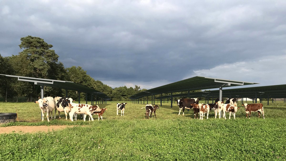 Montpellier : la société Efea met la production d'énergie au service des agriculteurs