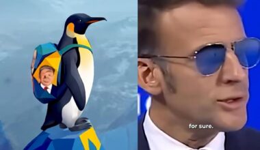 Ce manchot offre au « for sure » de Macron à Davos sa meilleure mise en scène possible