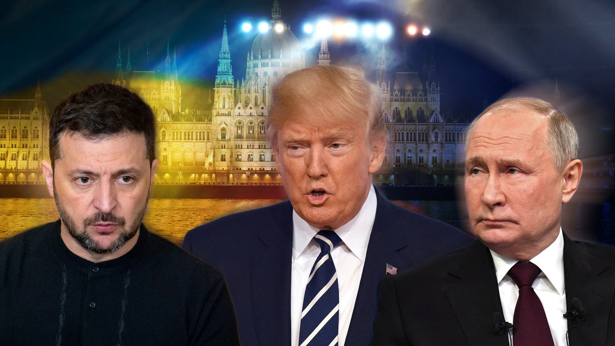 Guerre en Ukraine : la trêve d’une semaine, un leurre ? "En un an de négociations, Donald Trump n’a rien obtenu de Vladimir Poutine"