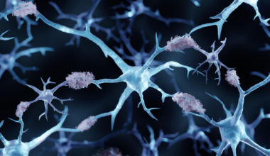 ce nouveau coupable qui pourrait changer notre compréhension de la maladie