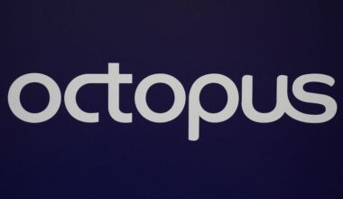 Octopus Energy du Royaume-Uni va commercialiser de l'énergie renouvelable en Chine alors que les relations se renforcent