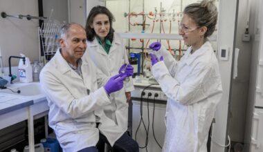 Les bonnes nouvelles de 2026 : « Et surtout la santé ! » - Sud Ouest