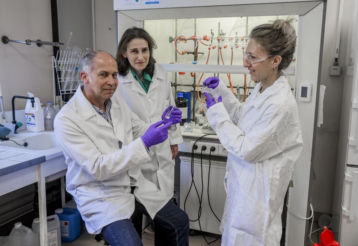 Les bonnes nouvelles de 2026 : « Et surtout la santé ! » - Sud Ouest