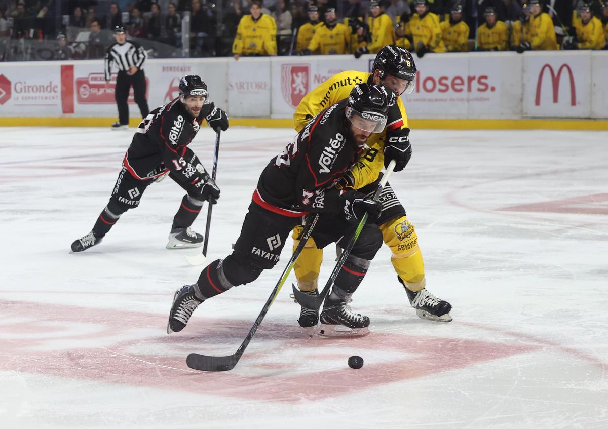 Bordeaux craque face aux Dragons de Rouen