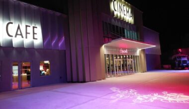 Montceau - La programmation au cinéma Capitole du 28 janvier au 3 février