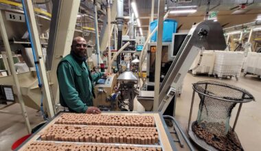 Près de Bordeaux, ils fournissent des bouchons de liège à tous les bassins viticoles de la région