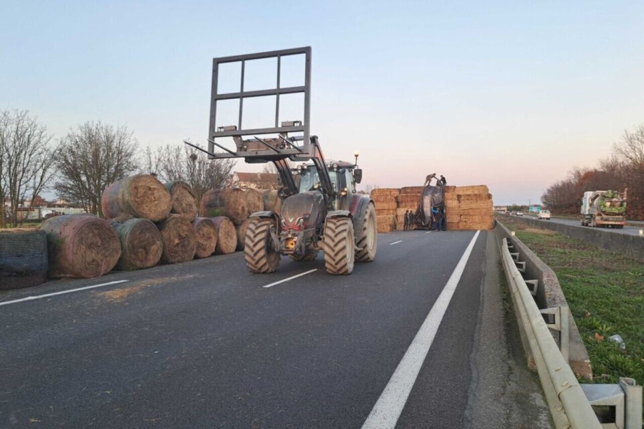 Pourquoi l'Etat tolère que des agriculteurs puissent couper une autoroute depuis un mois près de Toulouse