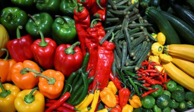 Les prix à la production en Allemagne reculent de 2,5% sur un an en décembre