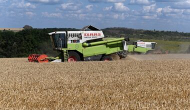 La Russie veut dynamiser ses exportations agricoles grâce à des projets de transformation à l'étranger