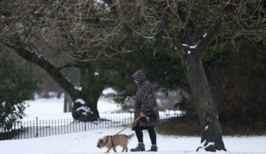 Le Royaume-Uni prévoit une refonte du secteur vétérinaire pour faire face à la flambée des coûts pour les propriétaires d'animaux