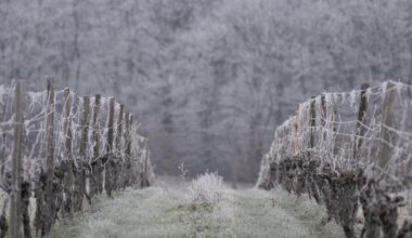 Le froid s&rsquo;est fait encore plus mordant ce dimanche 4&nbsp;janvier. Et ce n&rsquo;est pas fini.