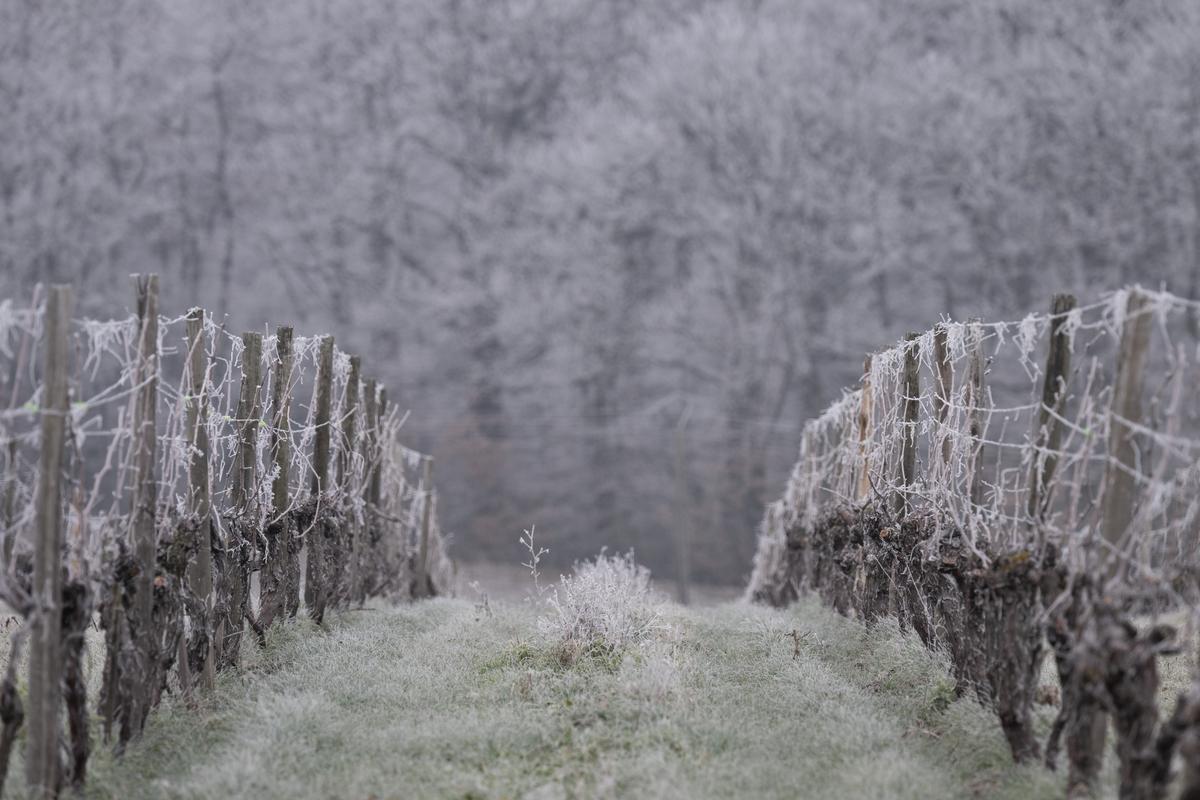 Le froid s&rsquo;est fait encore plus mordant ce dimanche 4&nbsp;janvier. Et ce n&rsquo;est pas fini.