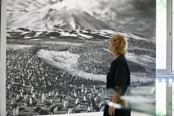 Teureum, sikeirei et chef d’un clan mentawai. Ce chaman prépare un tamis à sagou à l’aide des feuilles de sagoutier. Île de Siberut, Sumatra occidental, Indonésie, 2008. 