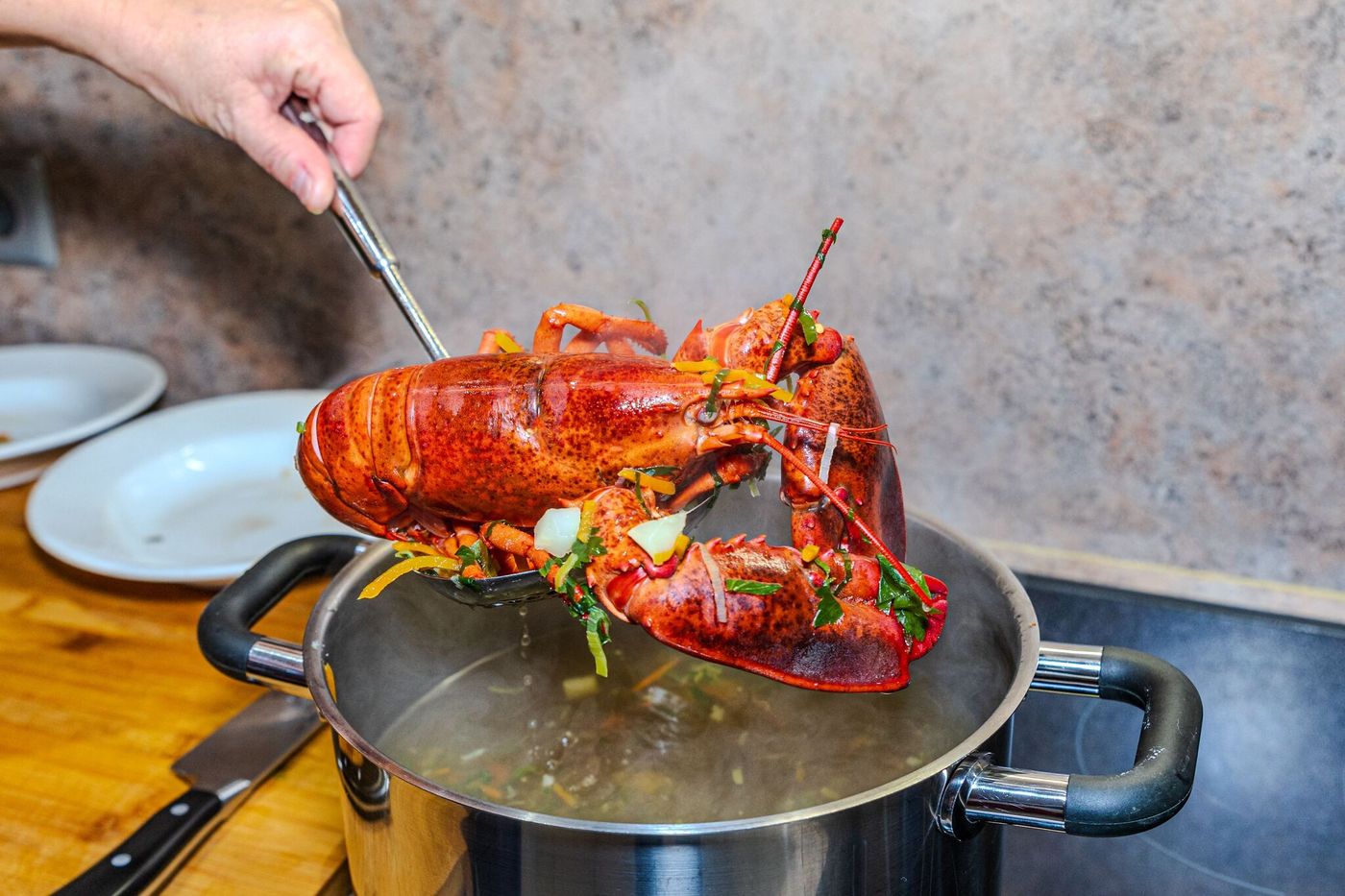 l’ébouillantage des crustacés vivants bientôt interdit