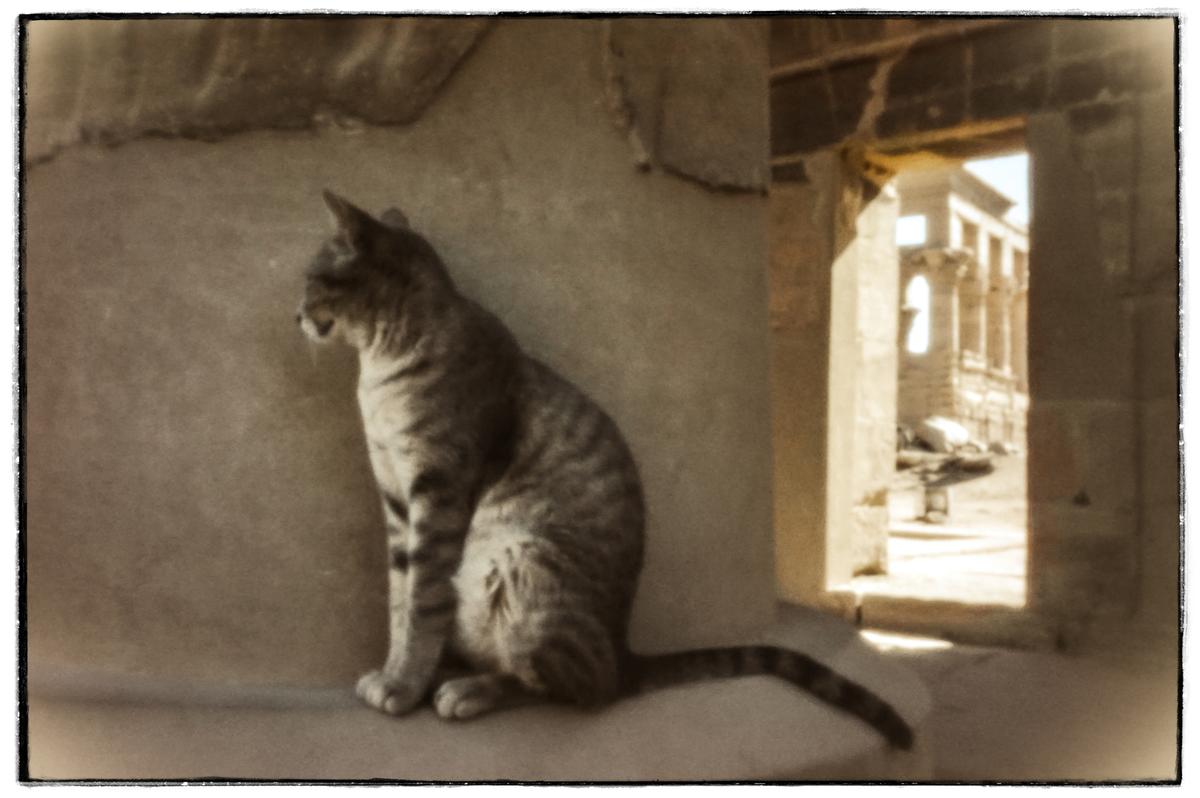 La méthode sténopé permet un effet vintage propice aux récits de voyage de Pierre Loti.