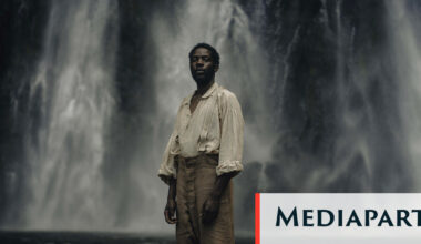 « Les maîtres de La Réunion exerçaient sur leurs esclaves des brutalités physiques et psychiques abominables »