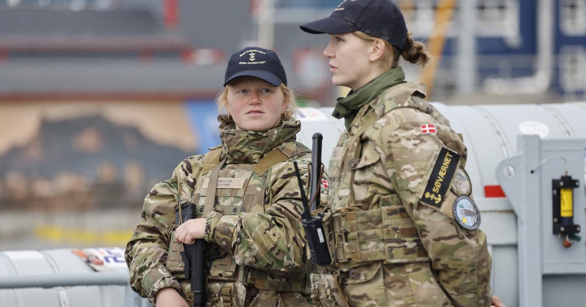 Le Groenland n’est-il vraiment défendu que par des traîneaux à chiens, comme le prétend Donald Trump ?