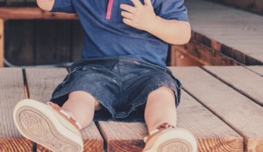 Lille. Soupçonné du viol d'un enfant, le baby-sitter avait été condamné pour agression sexuelle à Nice