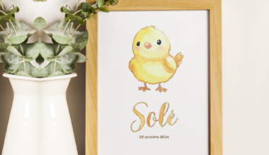 Info Tours | A Tours, elle crée des aquarelles personnalisées pour bébés et jeunes enfants