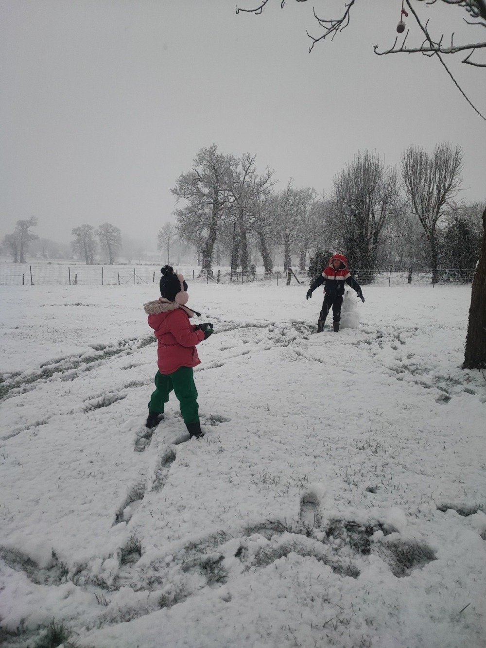 Les enfants se régalent de batailles de boules de neige !