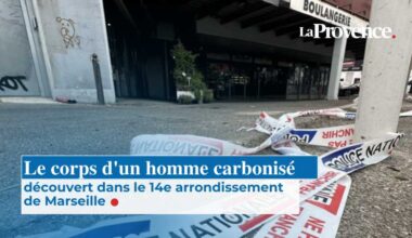 Une astuce peu connue quand on se chauffe au bois permet de doubler la durée des bûches et faire de réelles économies en hiver
