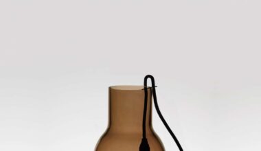 Exposition en mouvement, David Dubois