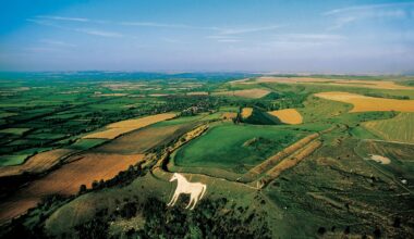 Royaume-Uni : un rapport des services de renseignement pointe la destruction de la nature comme un risque majeur pour la sécurité nationale