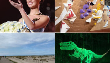 Rencontre avec Miss France, balade ensoleillée sur la côte... Nos idées de sorties dans le Nord ce samedi