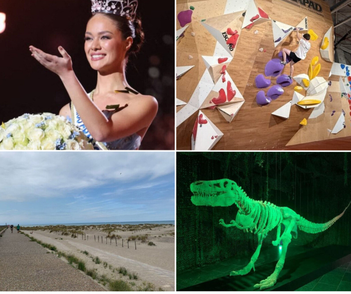 Rencontre avec Miss France, balade ensoleillée sur la côte... Nos idées de sorties dans le Nord ce samedi