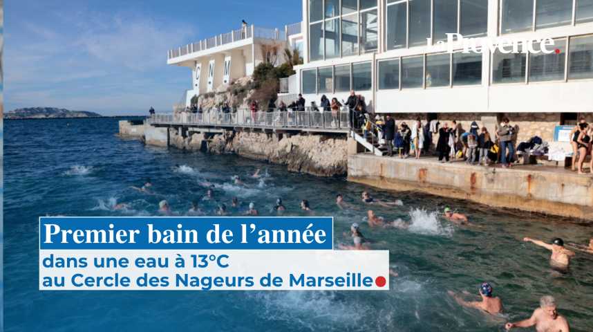 Le Cercle des nageurs se jette à l'eau à Marseille, comme chaque année depuis 1934