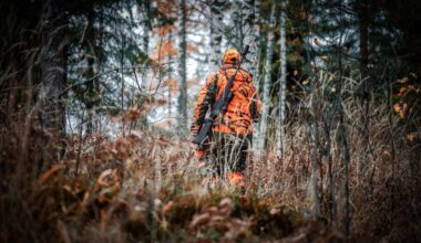 Près de Rouen, la balle d'un chasseur termine dans la fenêtre d'une habitation