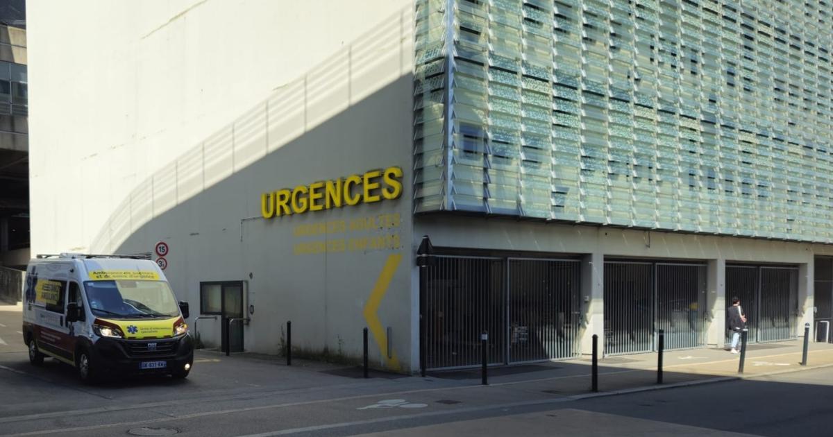 deux jeunes de 14 et 16 ans enlevés, mis à nu et contraints de creuser leur propre tombe en forêt