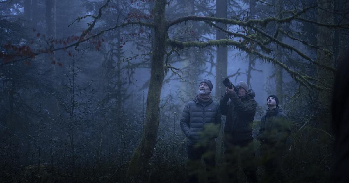 un million d’entrées pour Le Chant des forêts