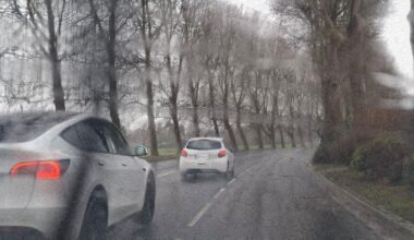 coupures d’électricité, rafales, arbres arrachés… les dernières infos