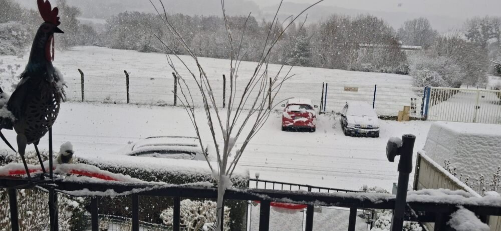 Tous nos jardins normands ont des airs de féerie ce matin.