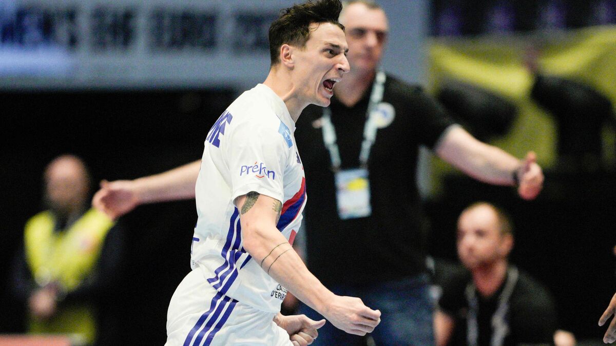 Ukraine-France (26-46) : les Bleus dominent les Ukrainiens et se qualifient pour le tour principal