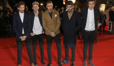 Tensions entre deux ex-membres des One Direction : une dispute entre Zayn et Louis aurait dégénéré en "confrontation physique"