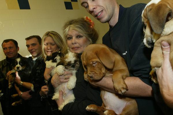Lors d’une manifestation anti-chasseurs, en 1994, à Saint-Tropez, Patrick Villardry, proche de BB qui avait peur de la foule. 
