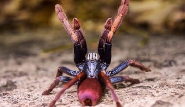 Page d'accueil Yahoo news