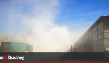 À Strasbourg, la justice condamne la société Sappe à verser 150 000 euros