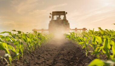 prison ferme requise contre un agriculteur accusé de trafic de pesticides