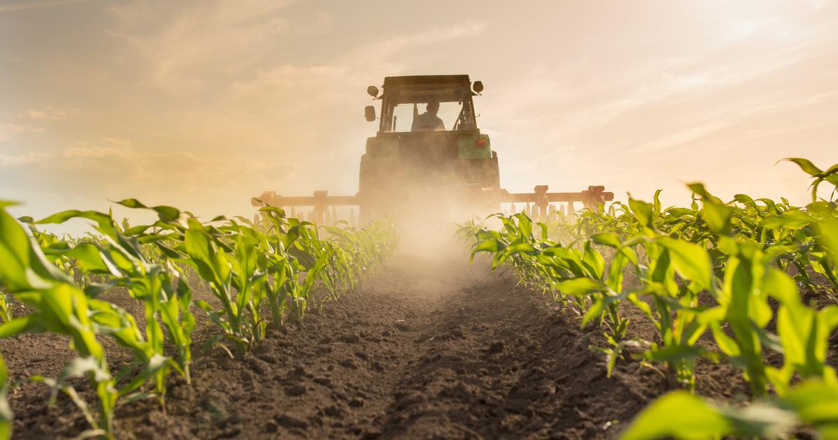 prison ferme requise contre un agriculteur accusé de trafic de pesticides