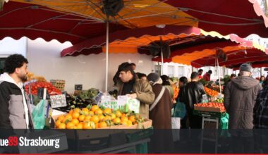Strasbourg. L’alimentation en débat avec les candidats aux municipales