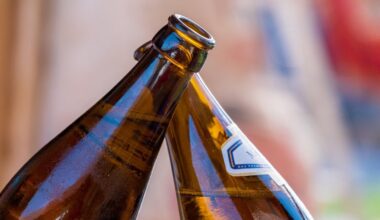 fortement alcoolisé, il tente d’étrangler sa compagne et met la voiture dans le décor