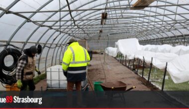 Strasbourg. Souffrances aux Jardins de la Montagne Verte, l'inspection du travail alertée