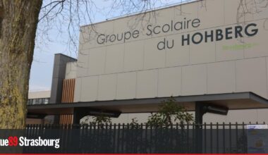 Strasbourg. Des parents se mobilisent mardi pour des AESH