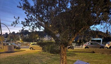 la plaque hommage à Ilan Halimi vandalisée à Cagnes-sur-Mer